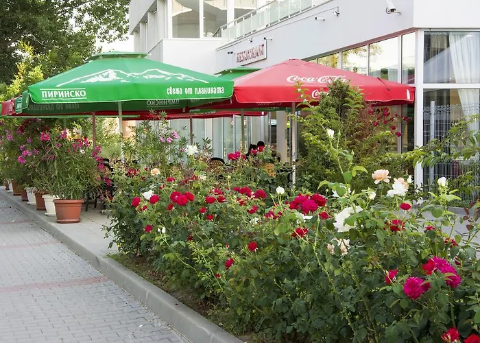 מלון דירות Black Sea Star 3*